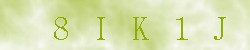 Kontrolní kód