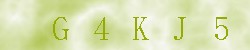 Kontrolní kód