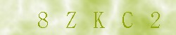Kontrolní kód