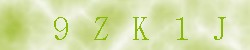 Kontrolní kód
