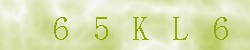 Kontrolní kód