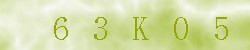 Kontrolní kód