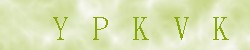 Kontrolní kód