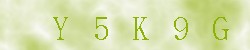 Kontrolní kód