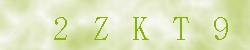Kontrolní kód