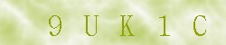 Kontrolní kód