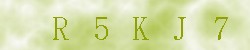 Kontrolní kód