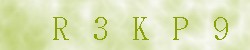 Kontrolní kód