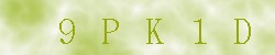 Kontrolní kód