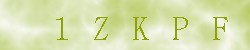 Kontrolní kód