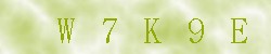 Kontrolní kód