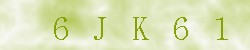 Kontrolní kód