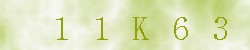 Kontrolní kód