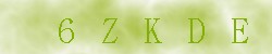 Kontrolní kód