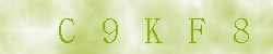 Kontrolní kód