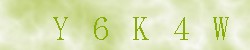 Kontrolní kód