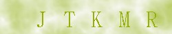 Kontrolní kód