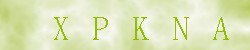 Kontrolní kód